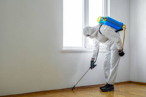 Best Pest Exclusion Services  in Hector, MN